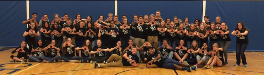DECA members pose with their signature diamond hands after a successful DECA Week.