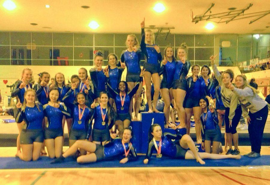 The+Brookfield+Gymnastics+team+rose+to+great+heights+this+2015-16+season%2C+dominating+along+the+way.
