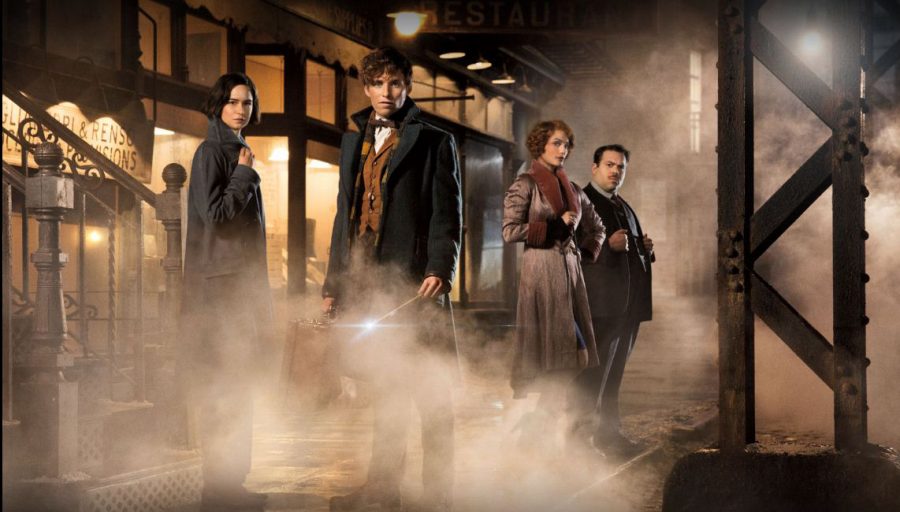 Fantastic Beasts exceeds fans’ expectations