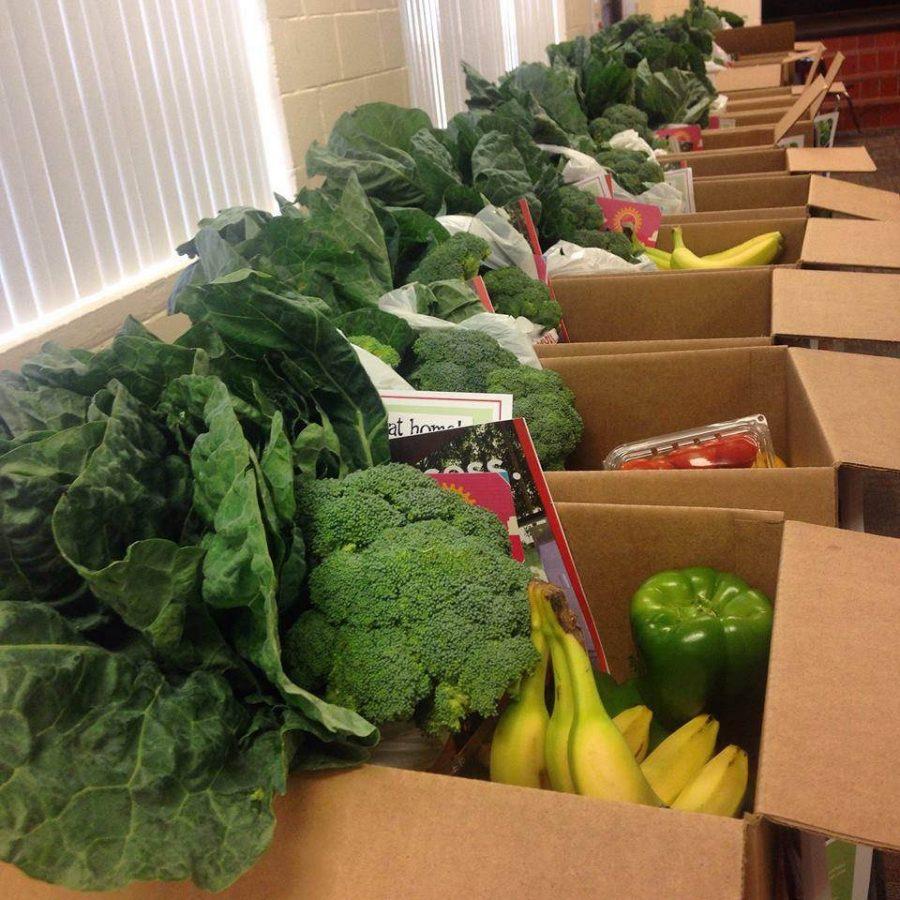 FoodShare+boxes+sorted+and+ready+for+buyers+looking+to+improve+their+healthy+eating+choices.