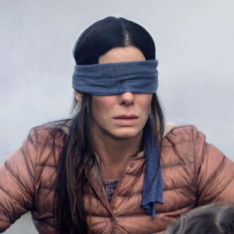 Birdbox fails to fly above the hype