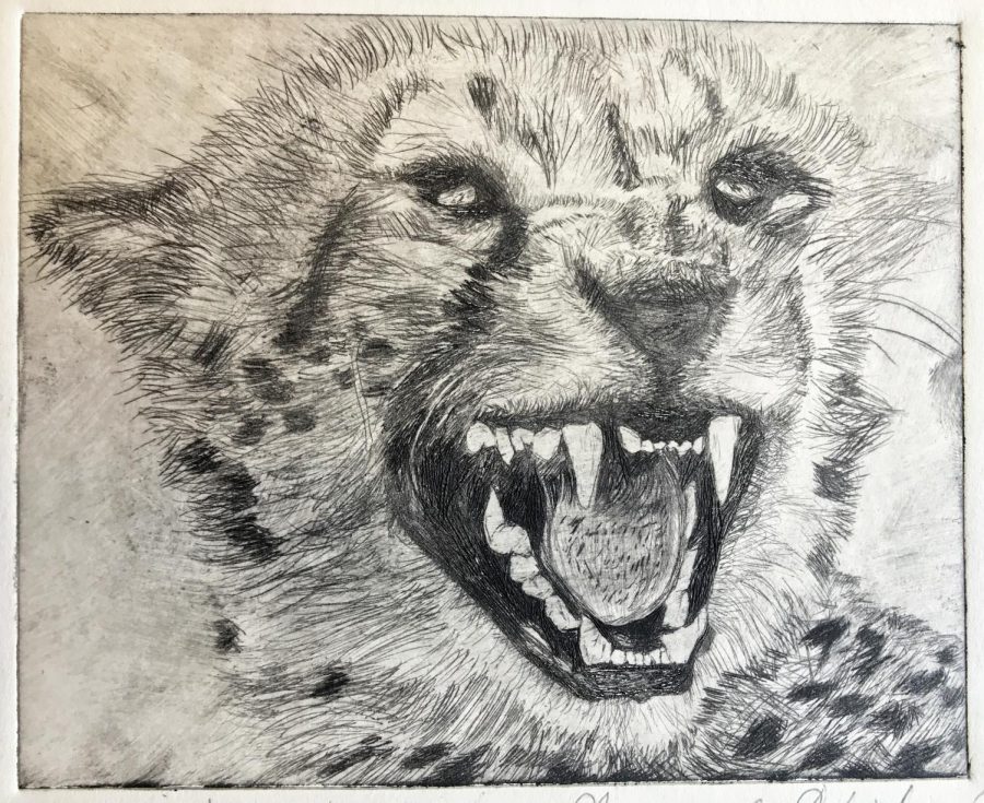 
Honorable Mention in Printmaking
Piece: Cheetah
