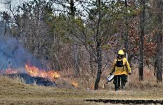 Prescribed burn at Fort McCoy. Credit: GetArchive
