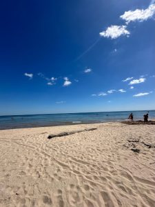 Where Are BC Students Going On Spring Break?