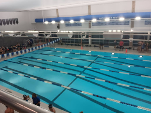 Girls’ Swim Showcases Fast Times and Strong Bonds