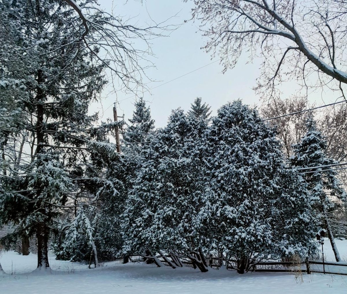 Climate Change and Wisconsin Winters