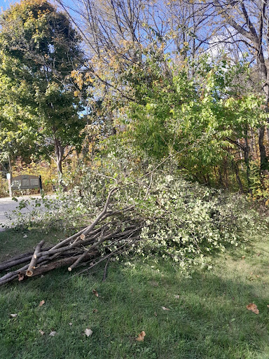 Brookfield's Invasive Species Task Force